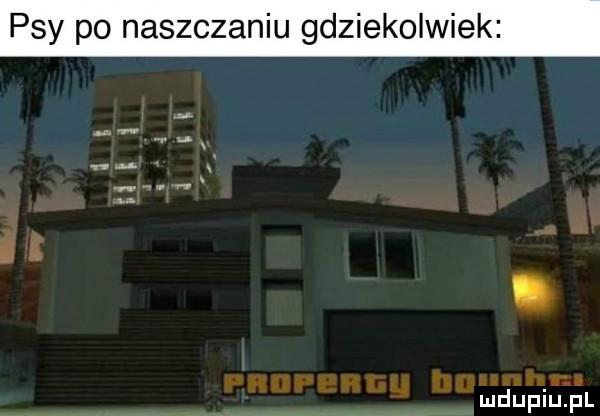 psy po naszczaniu gdziekolwiek m mdupińfl