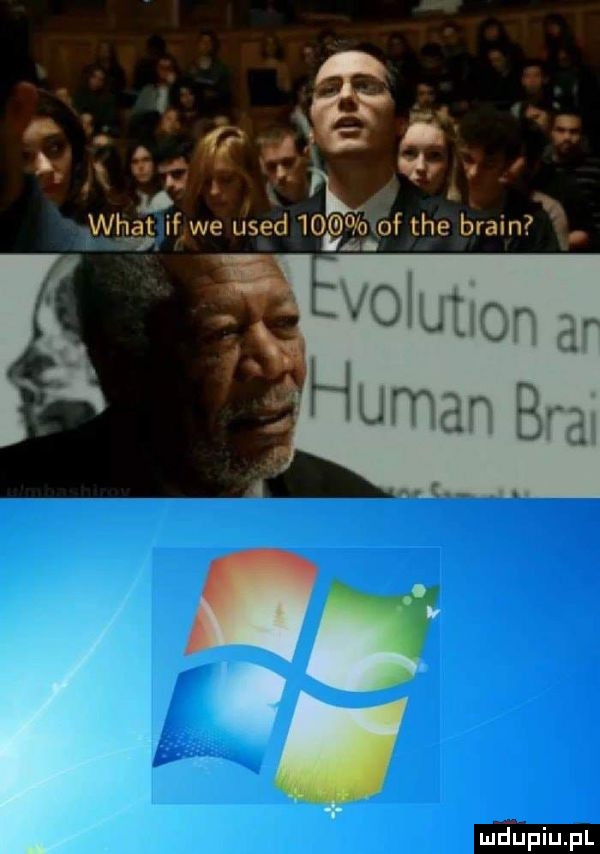 ł. i ha sęęł wang iﬂwe us