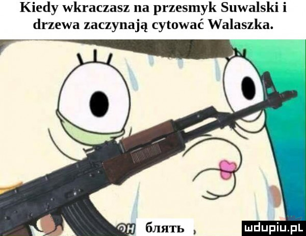 kiedy wkraczasz na przesmyk suwalski i drzewa zaczynają cytować walaszka. rn
