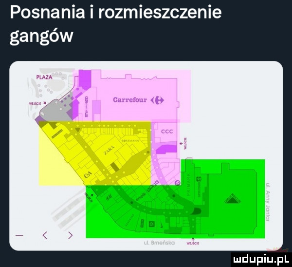 pognania i rozmieszczenie gangów mu i. fce carrelmu