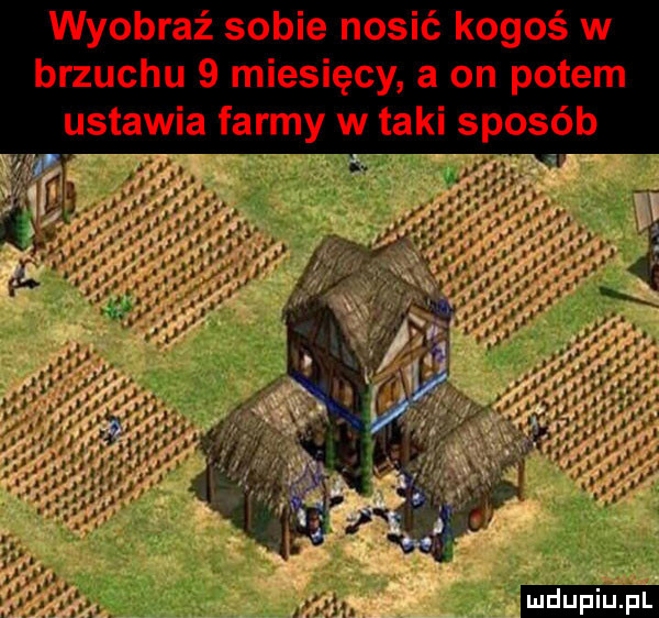 b sposó a on potem iesięcy farmy w tak a ustaw w ś o   o k m s o n w b   s z m b o wy brzuchu   m