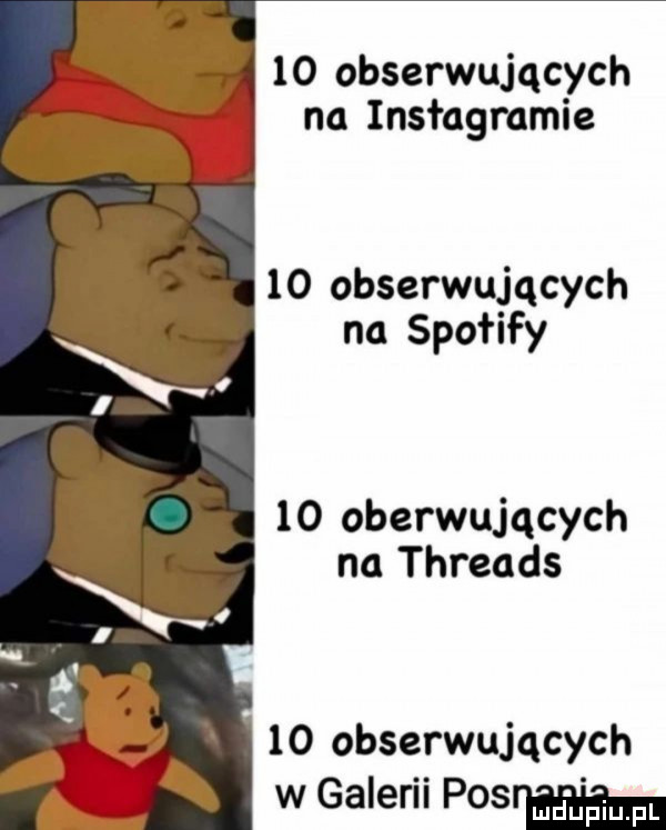 obserwujących na instagramie    obserwujących na społify    oberwujących na threads    obserwujących w galerii   er