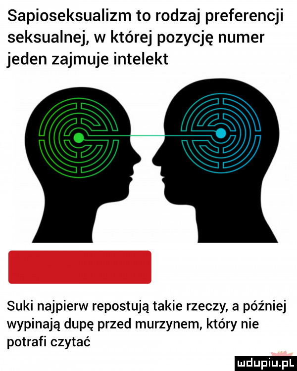 sapioseksualizm to rodzaj preferencji seksualnej w której pozycję numer jeden zajmuje intelekt suki najpierw ripostują takie rzeczy a później wypinają dupę przed murzynem który nie potrafi czytać ludu iu. l