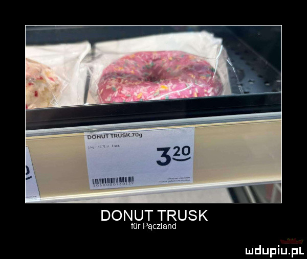 iiiii i donut trosk fur pączland