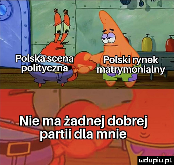 polak é snem polski rynek polltyczrłg matrymlgnialny nie ma ż adnej dobrej ę partii dla mnie