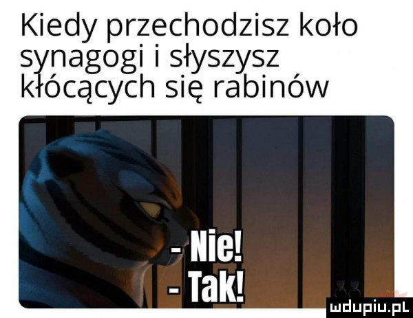 kiedy przechodzisz koło snagogi i s łyszysz k ócących się rabinów ludupiupr