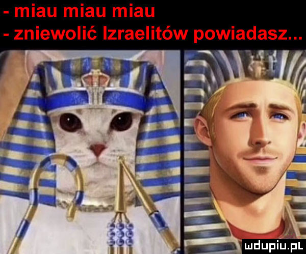 miau miau miau zniewolić izraelitów powiadasz