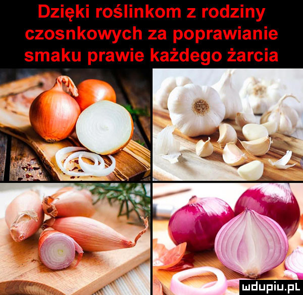 dzięki roślinkom z rodziny czosnkowych za poprawianie smaku prawie każdego żarcia