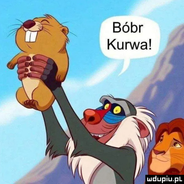 Obrazek