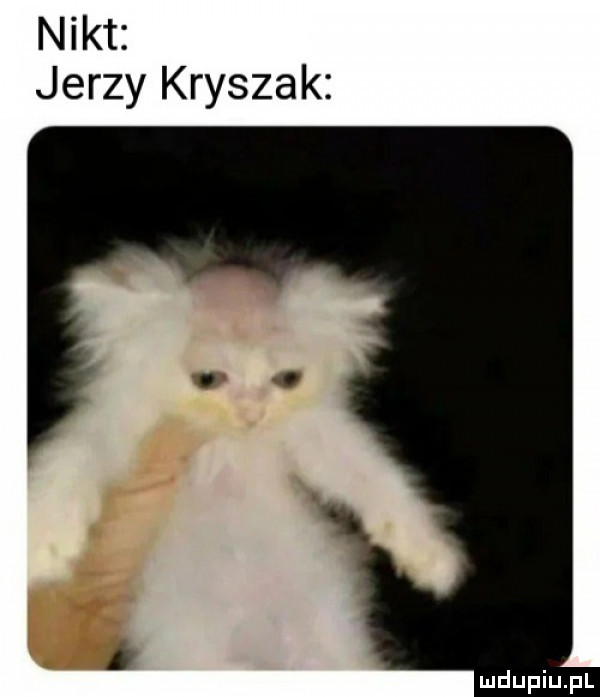 nikt jerzy kryszak
