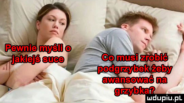 grzybka