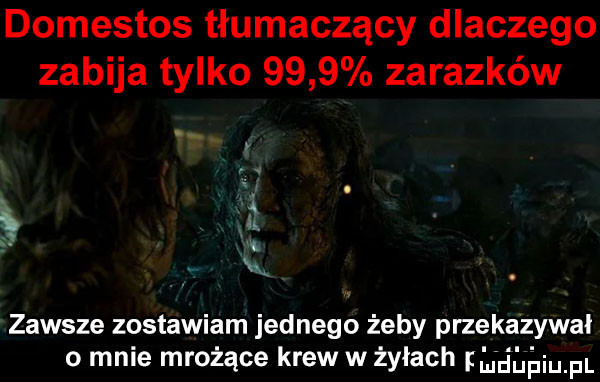 domestos tłumaczący dlaczego zabija tylko      zarazków.   xx zawsze zostawiam jednego żeby przekazywał o mnie mrożące krew w żyłach fiﬂﬁﬁiupl