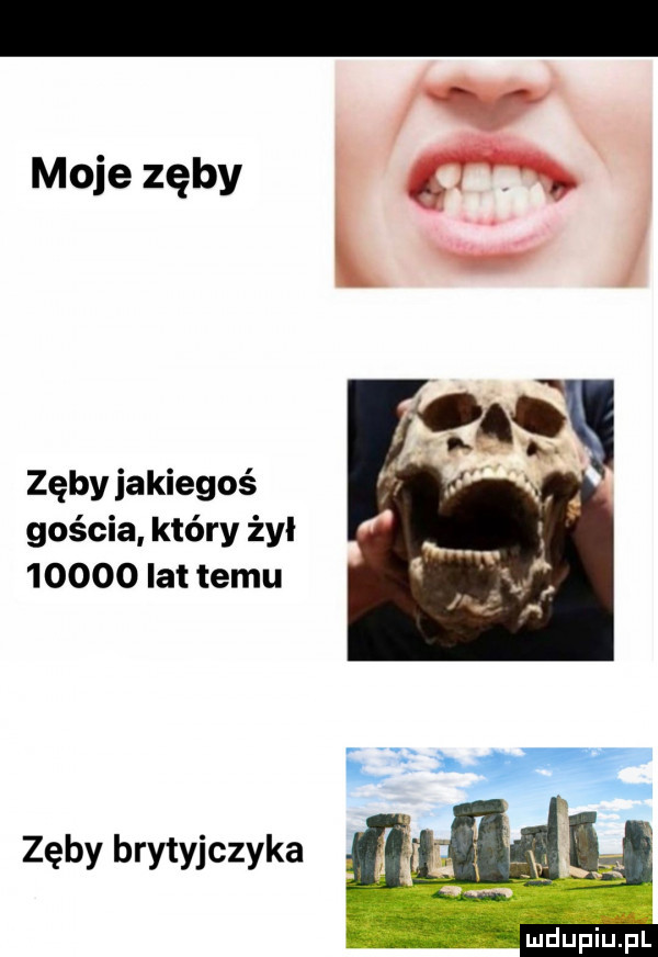 moje zęby l. zęby iakiegoś gościa który żal       lat temu zęby brytyjczyka
