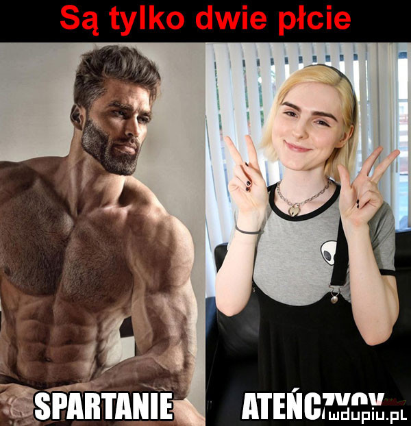 są tylko dwie płcie atengł sęłfl