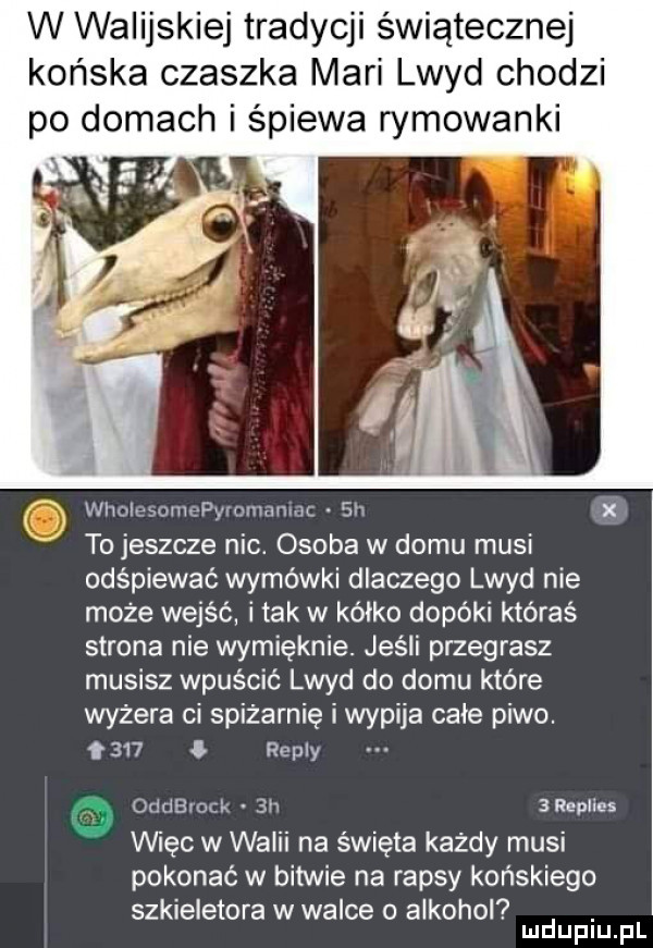 w walijskiej tradycji świątecznej końska czaszka mari lwyd chodzi po domach i śpiewa rymowanki i x wholesomepyromamac sh xi to jeszcze nic. osoba w domu musi odśpiewać wymówki dlaczego lwyd nie może wejść i tak w kalko dopóki któraś strona nie wymięknie. jeśli przegrasz musisz wpuścić lwyd do domu które wyżera ci spiżarnię i wypija cale piwo. o       repry oddeiock  h  replius więc w walii na święta każdy musi pokonać w bitwie na rapsy końskiego szkieletowa w walce o alkohol. mduplu pl