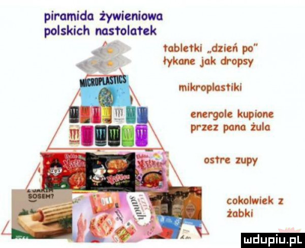 piramida żywieniowa polskich nastolatek robinia dzms po ido mme jak tepsy mlkroplamkl edy gala kupiona raz pam żule adm mw cokolwiek żabki ludu iu. l