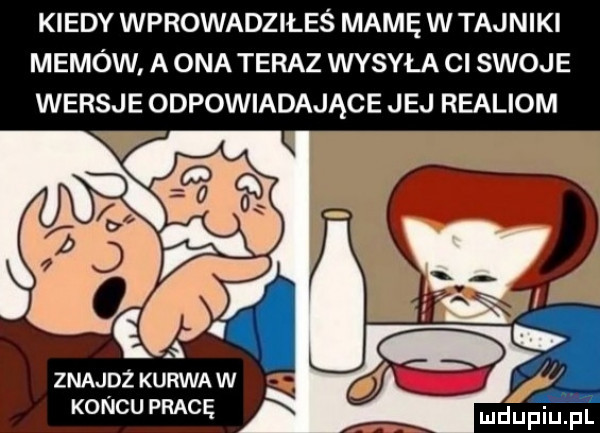 kiedy wprowadziłeś mamę w tajniki memów a ona teraz wysyła cl swoje wersje odpowiadające jej realiom znajdz kurwa w koncu pracę