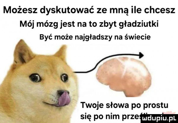 możesz dyskutować ze mną ile chcesz mój mózg jest na to zbyt gładziutki być może najgładszy na świecie i f   e twoje słowa po prestu się po nim pozew