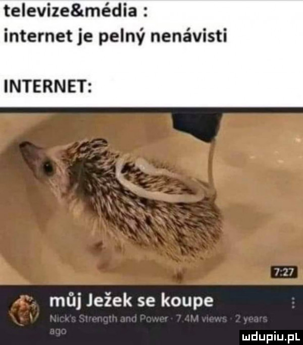 televize média internet je pelny nina visti internet maj jenek se krupe