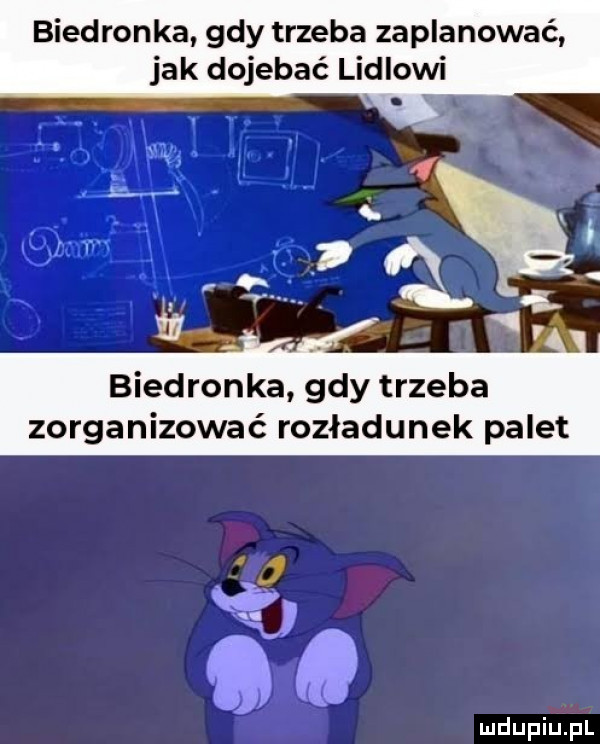 biedronka gdy trzeba zaplanować jak dojebać lidlowi biedronka gdy trzeba zorganizować rozładunek palet