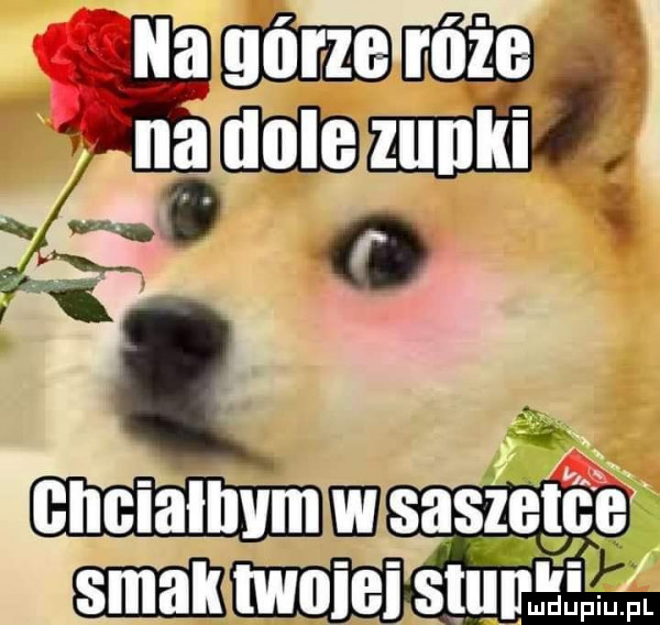 Obrazek