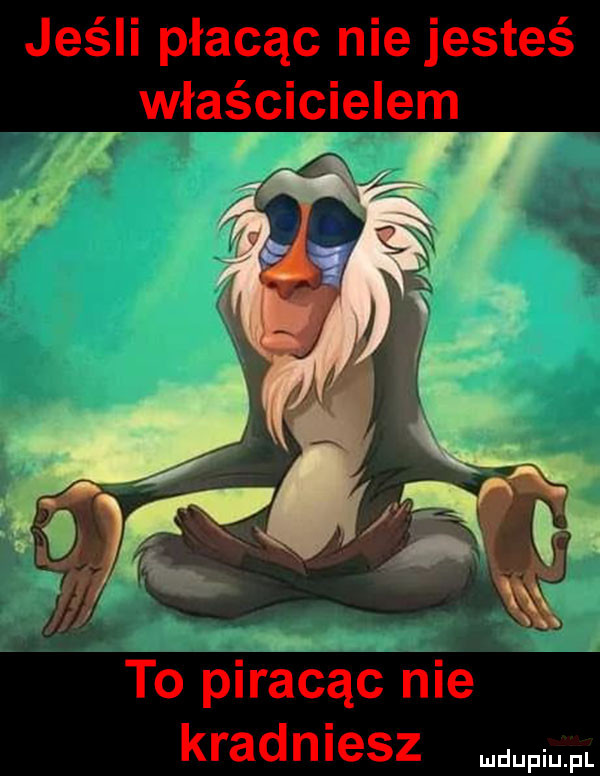 jeśli płacąc nie jesteś właścicielem to piracąc nie kradniesz w