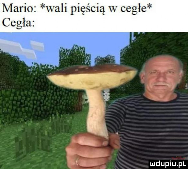 mario wali pięścią w cegle cegła