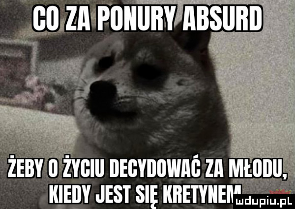 u znaku iunv nasunn.   mm necvnnwnć zn w. klinyjesisieknetyiie