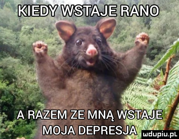 wie
