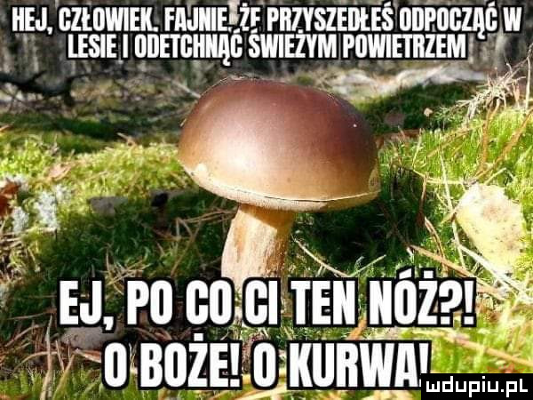 i aaa aa a mgśgmfpwaaaw y xf w ej po cmcmuggzg w boże wkllbwa meggr