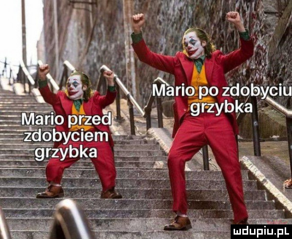 a. mario po z dgbyciń m agi o przeą i grzybka. zdobyciem     ybka