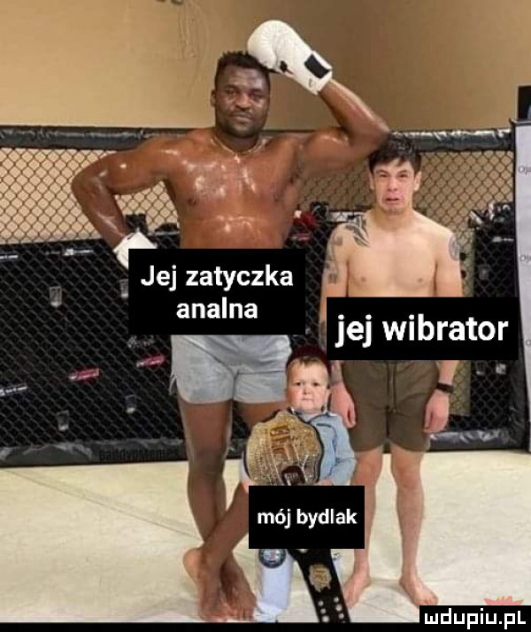 jej zatyczka analna jej wibrator it