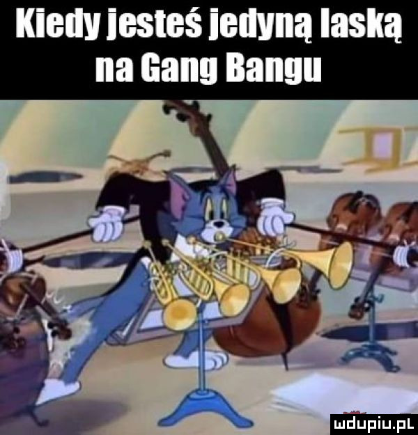 kiellv iesteś iedvna laska na banu bingu