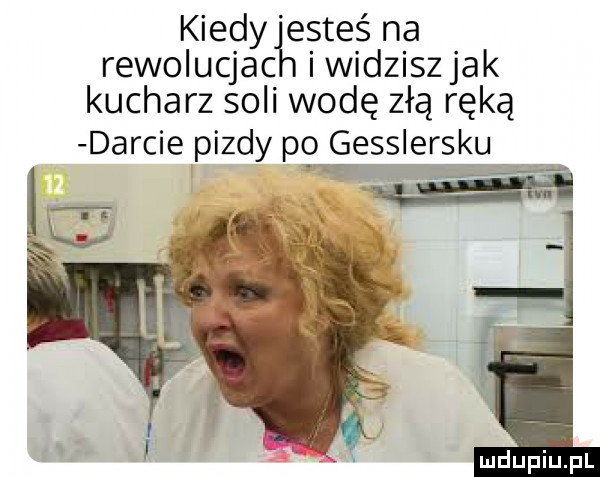 kiedy esteś na rewolucjac i widzisz jak kucharz soli wodę złą ręką darcie pizdy po gesslersku