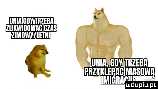 ll agbytezebi x zlikwiiiiiwagigzas z ﬂwviiletiii