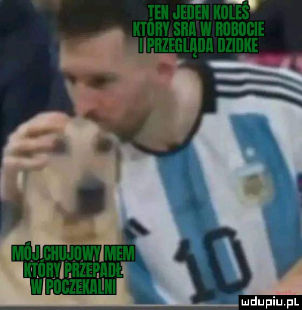 ten jeden koleś ktory sar w hobogie i phzeglądr dzidke