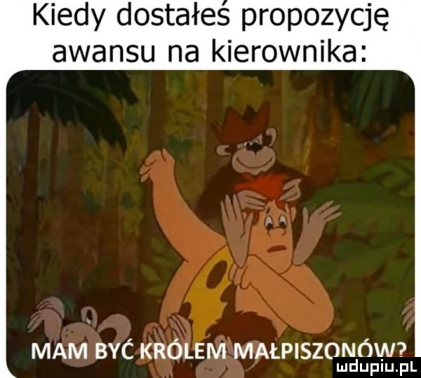 kiedy dostałes propozycję awansu na kierownika mam byc królem małpiszonów lud uplu. pl