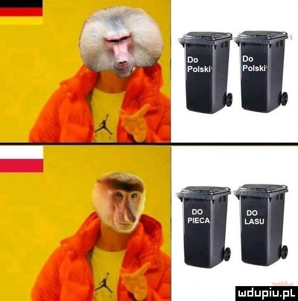 Obrazek