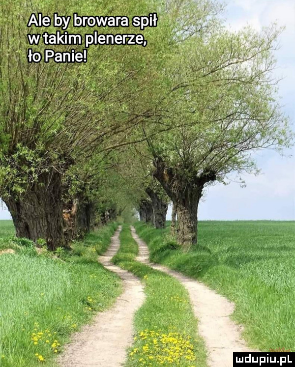 ale by browara spał. wtakim plenerze ło panie