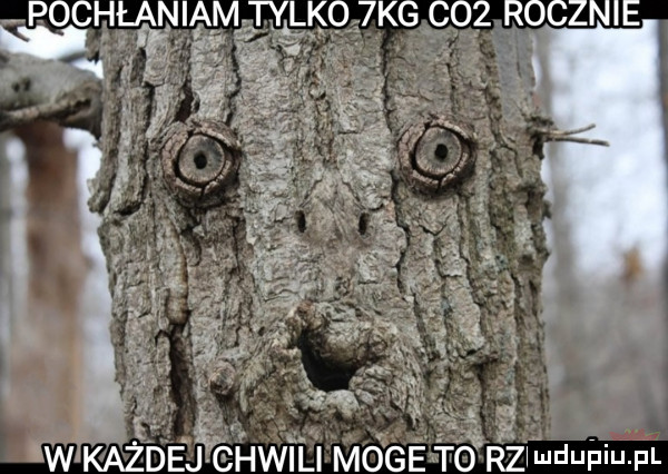 w każdej chwili móge to rz ne uf u f