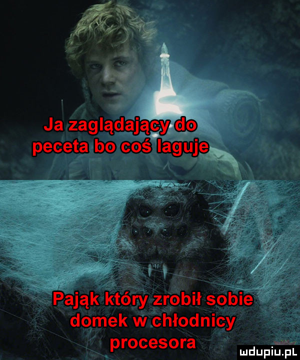 ja zaglądający do peceta bo coś iaguje pająk który zrobił sobie domek w chłodnicy procesora dupqul
