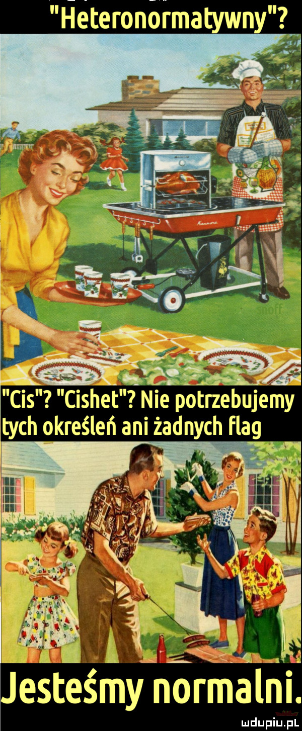 heteronółmatywny cis cishet nie potrzebujemy tych określeń ani żadnych flag jesteśmy iidrmalni ludupiu. pl