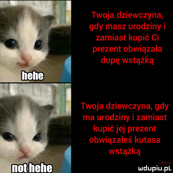 mdup iiiii