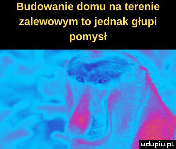 budowanie domu na terenie zalewowym to jednak głupi pomysł
