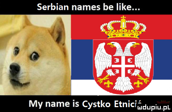 serbian nimes be like. my nade is cystko etnicf ludupiu. pl