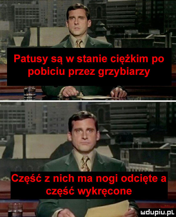 alusy są w stanie ciężkim po pobiciu przez grzybiarzy iczęść z nich ma nogi odcięte a część wykręcone      w a luﬂufiu fl