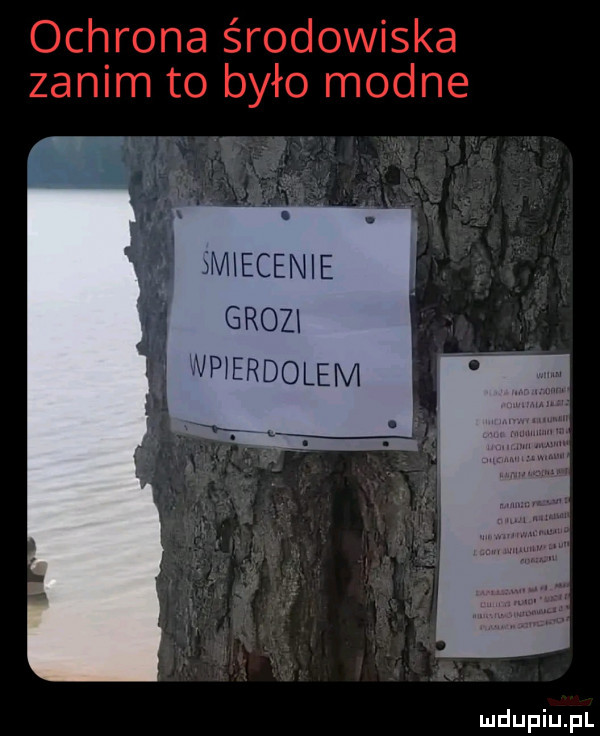 smiecenie grozi wpierdolem