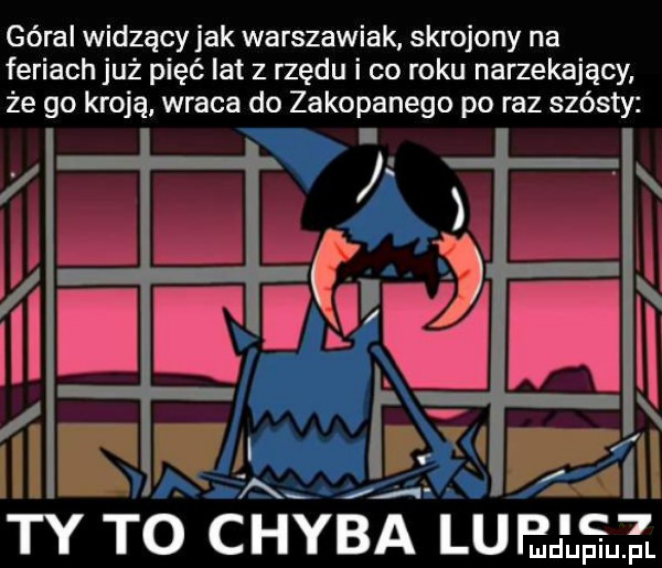 góral widzący jak warszawiak skrojony na feriach już pięć lat z rzędu i co roku narzekający że go kroją wraca do zakopanego po raz szósty wii w     ty to ch ba lupmdluﬁuzl