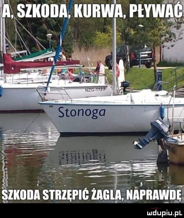 cj t rl. abakankami szumi sthięhó mel naprawdę
