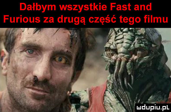 i n. mdupiupl